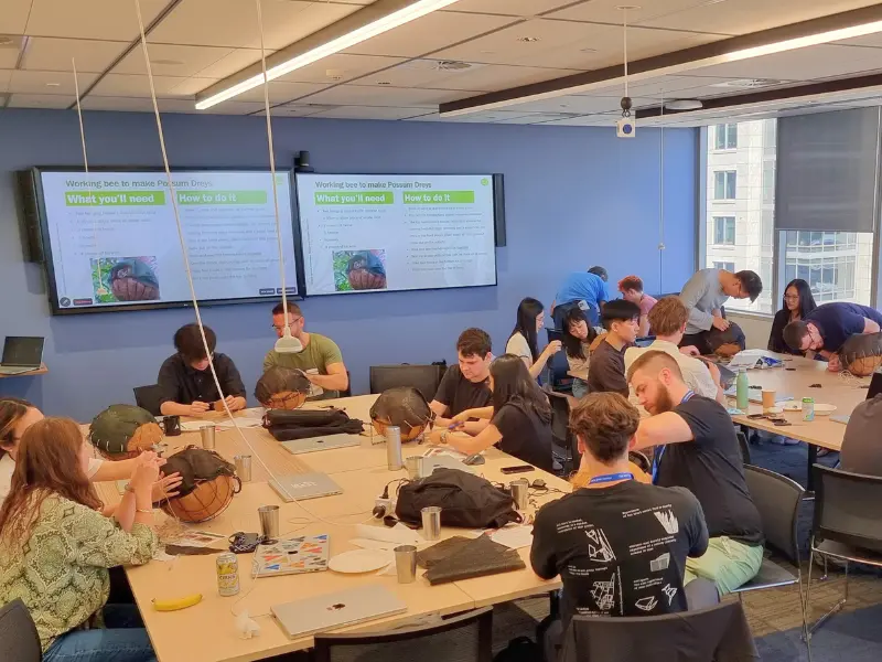 Charity Team Building WIRES Wildlife Rescue